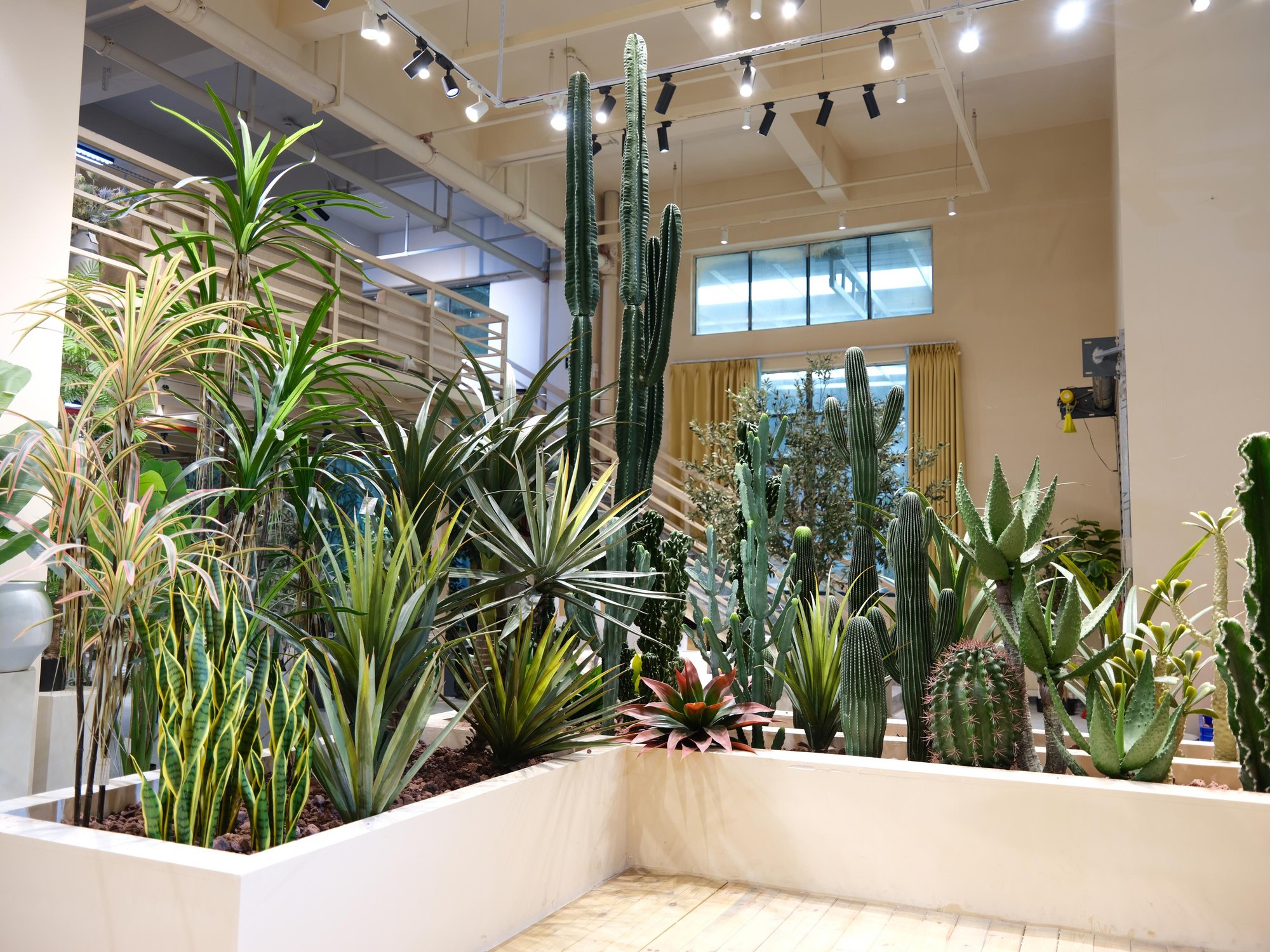 Desert & Succulents
