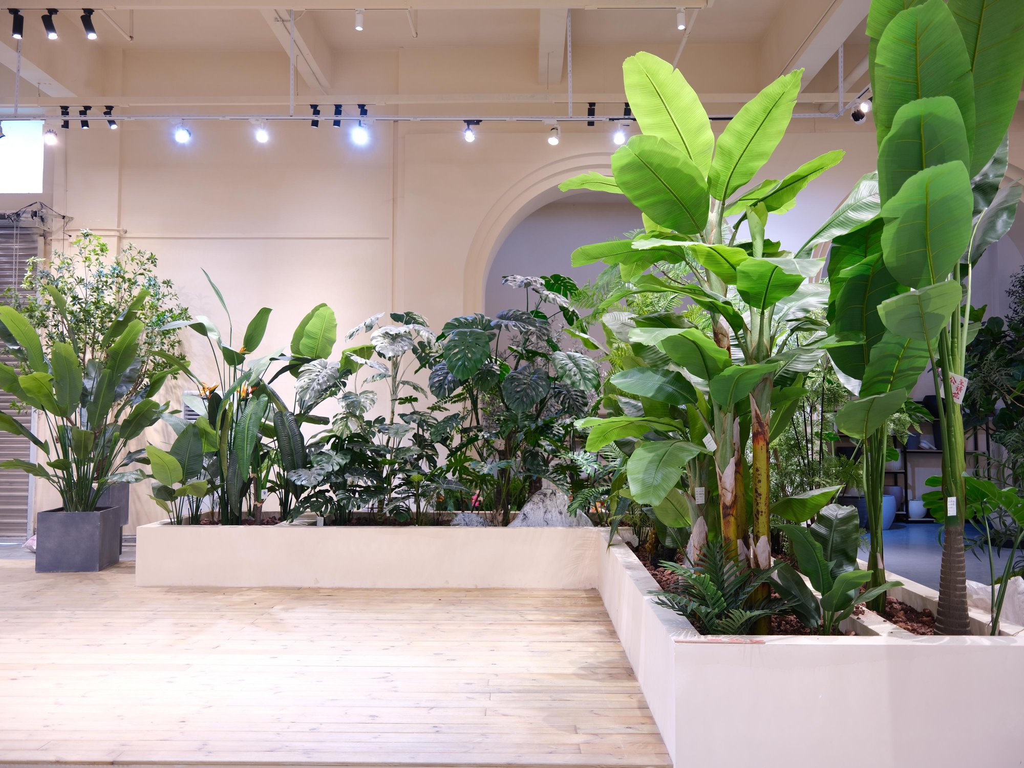Tropical Collection