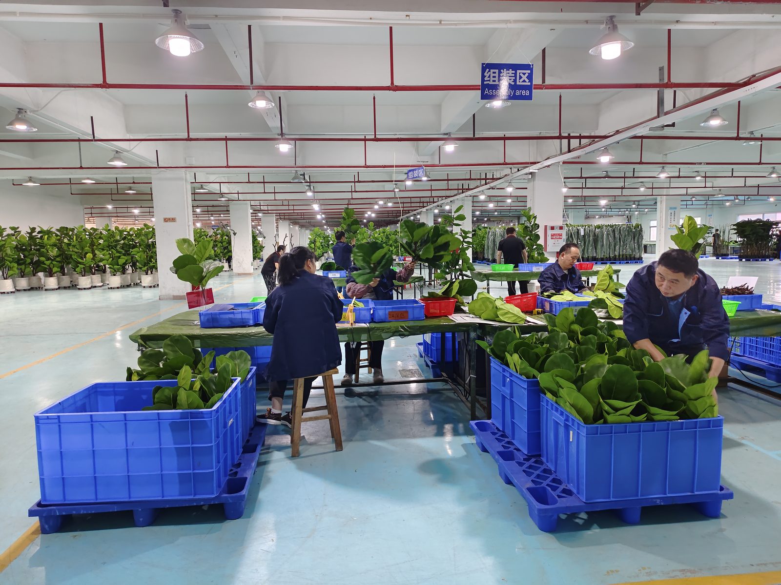 Leaf Assembly