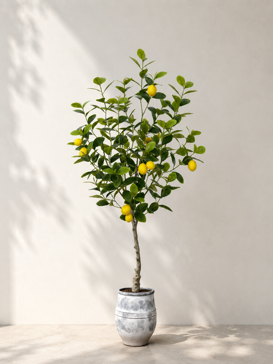 lemon
