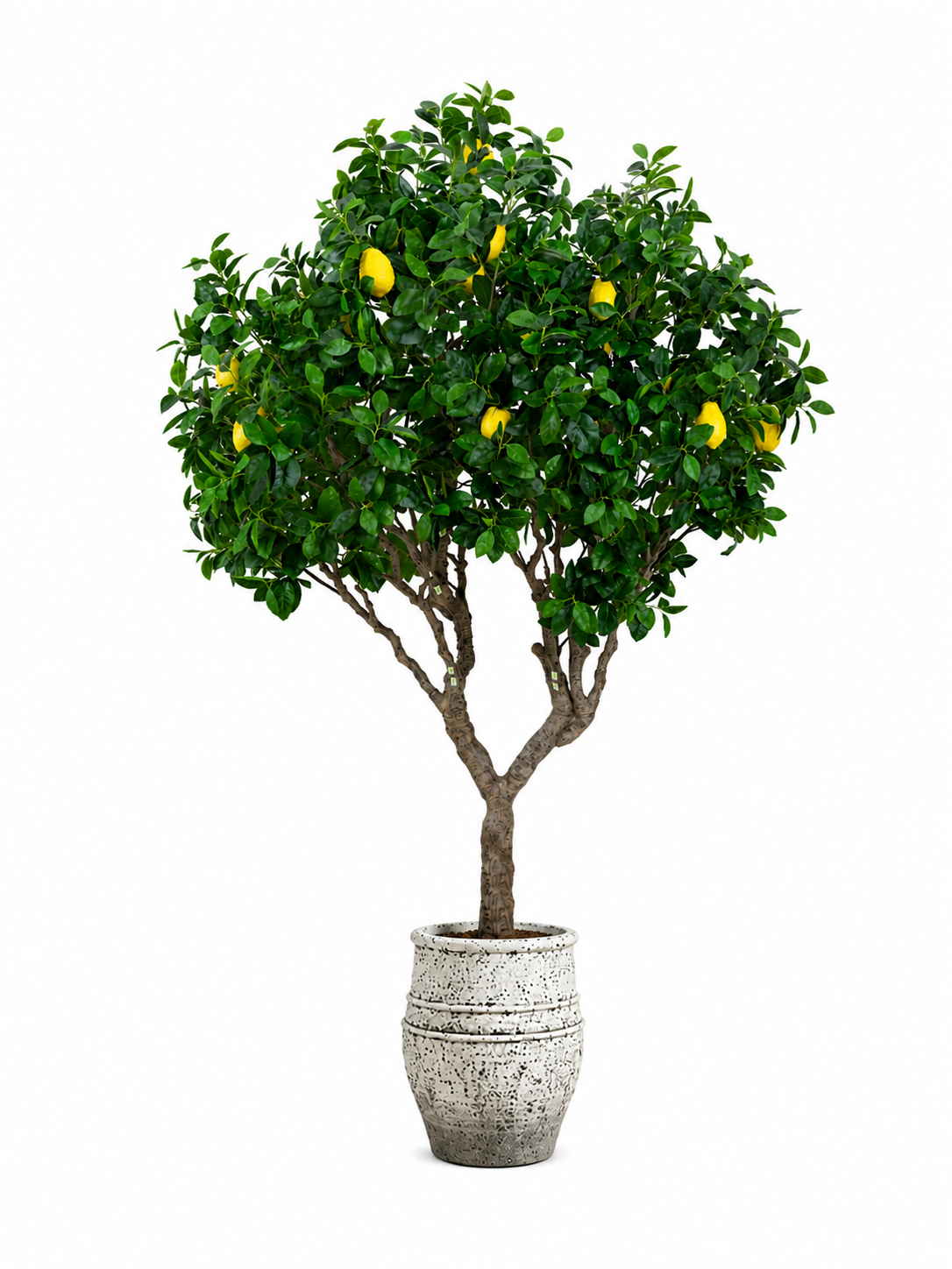 lemon