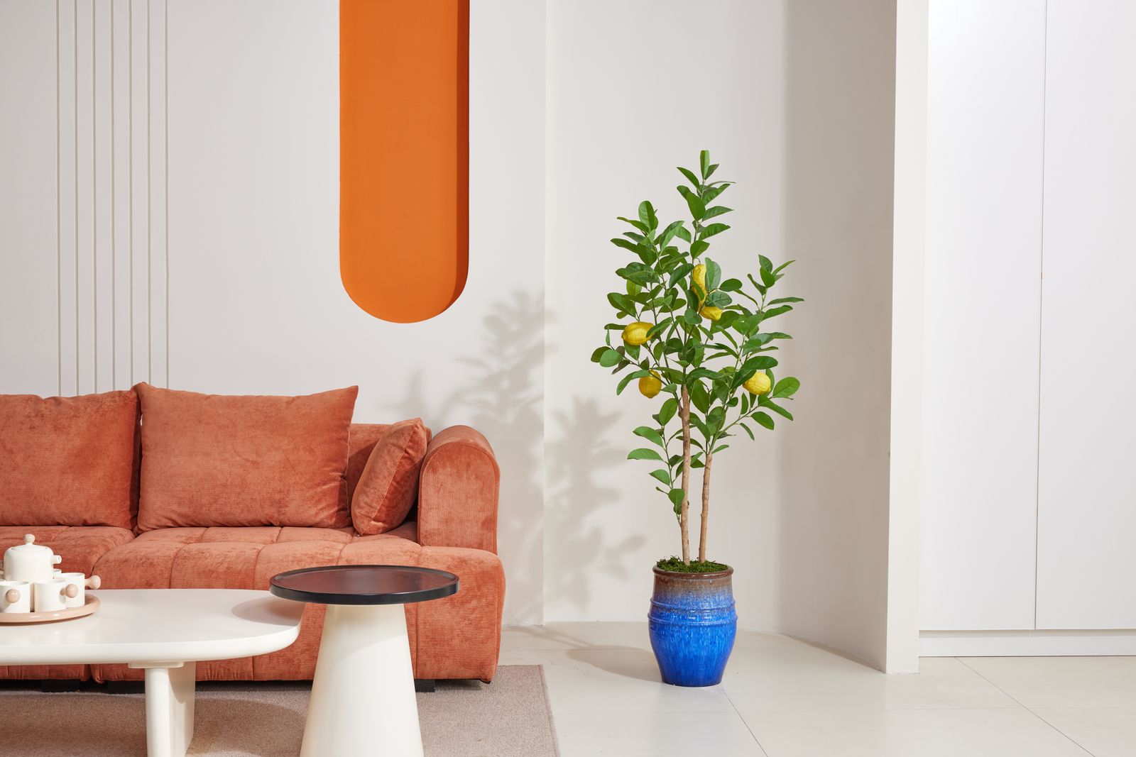 Interior scene with greenery