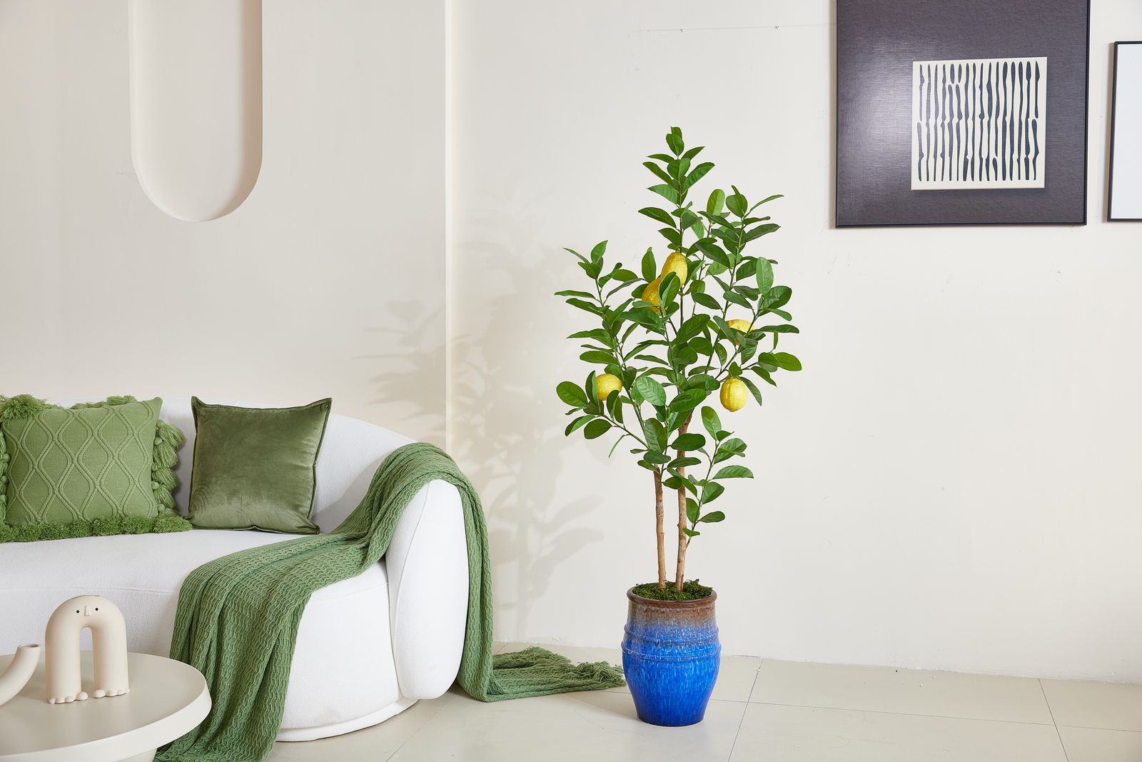 Lemon tree in modern interior