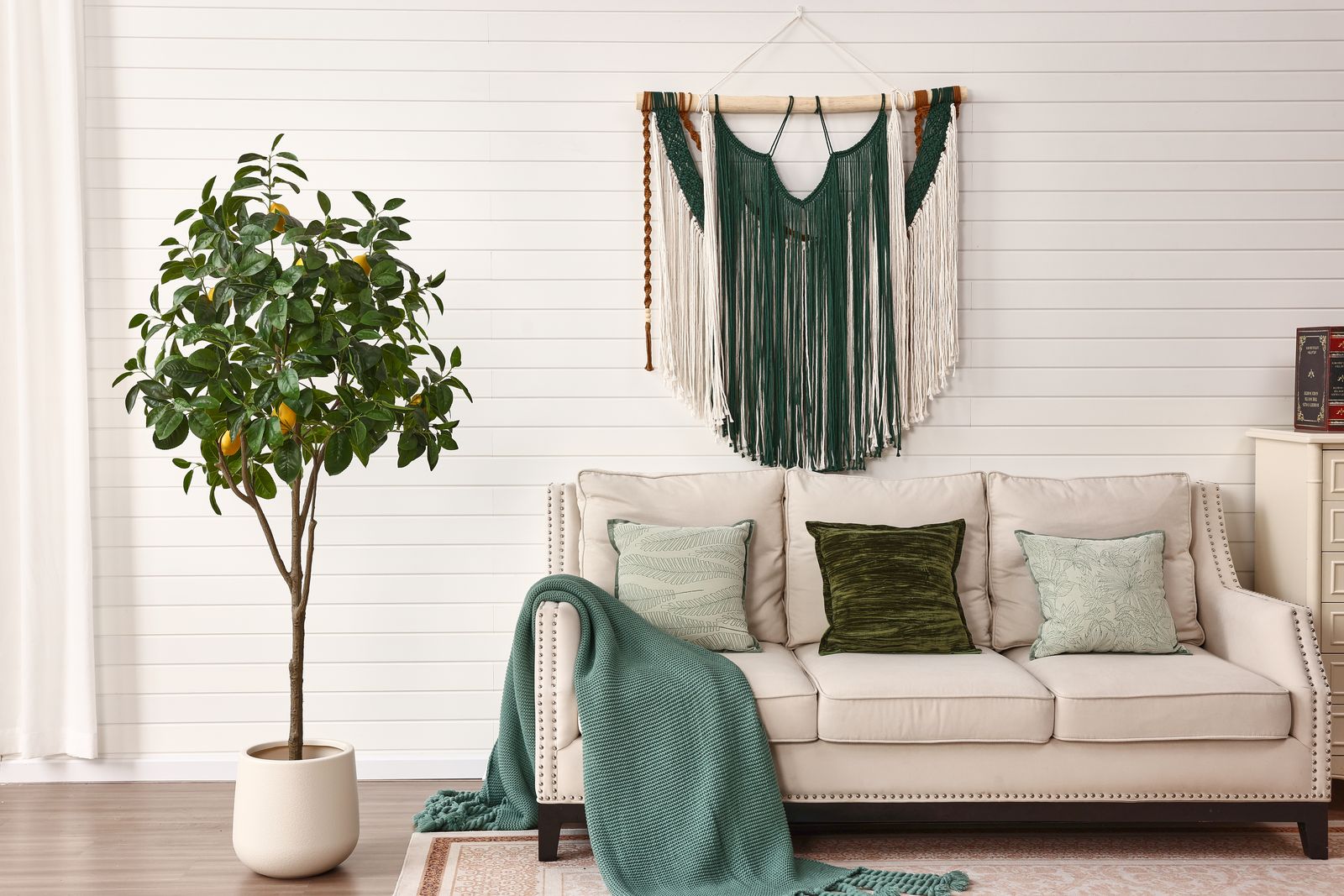 Lemon tree with orange sofa