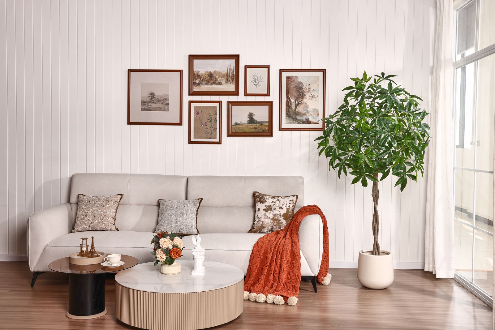 Money tree in modern room