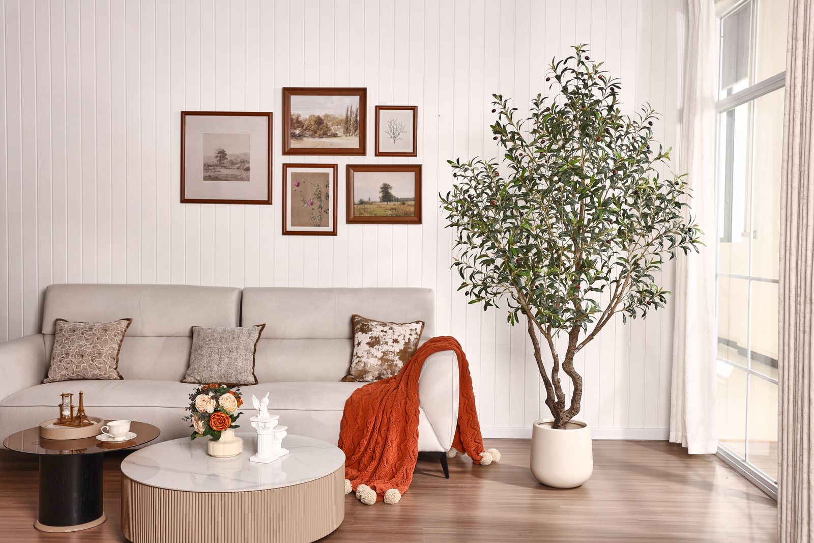 Olive tree in living room